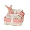 Baby Shower Hamper - Berries