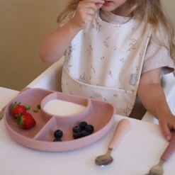 Bib W/ Pocket, 2-pack - Ashley 11 Bib W/ Pocket, 2-pack - Ashley -Camcam Copenhagen Store 1717 FlowerDividedPlate 22 DustyRose 11