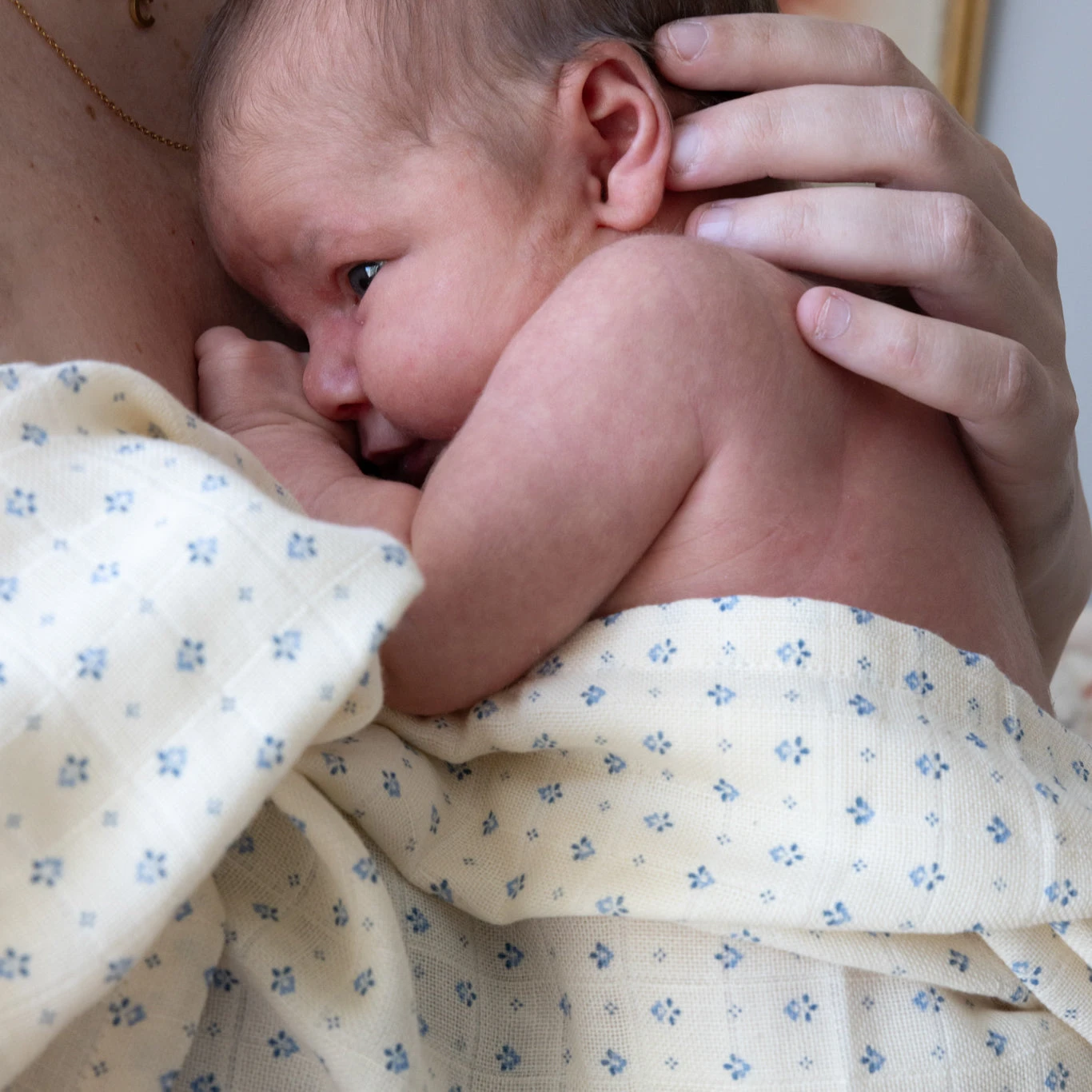 Muslin Cloth, Printed, 2-pack - GOTS - Capri 2 Muslin Cloth, Printed, 2-pack - GOTS - Capri - Image 2