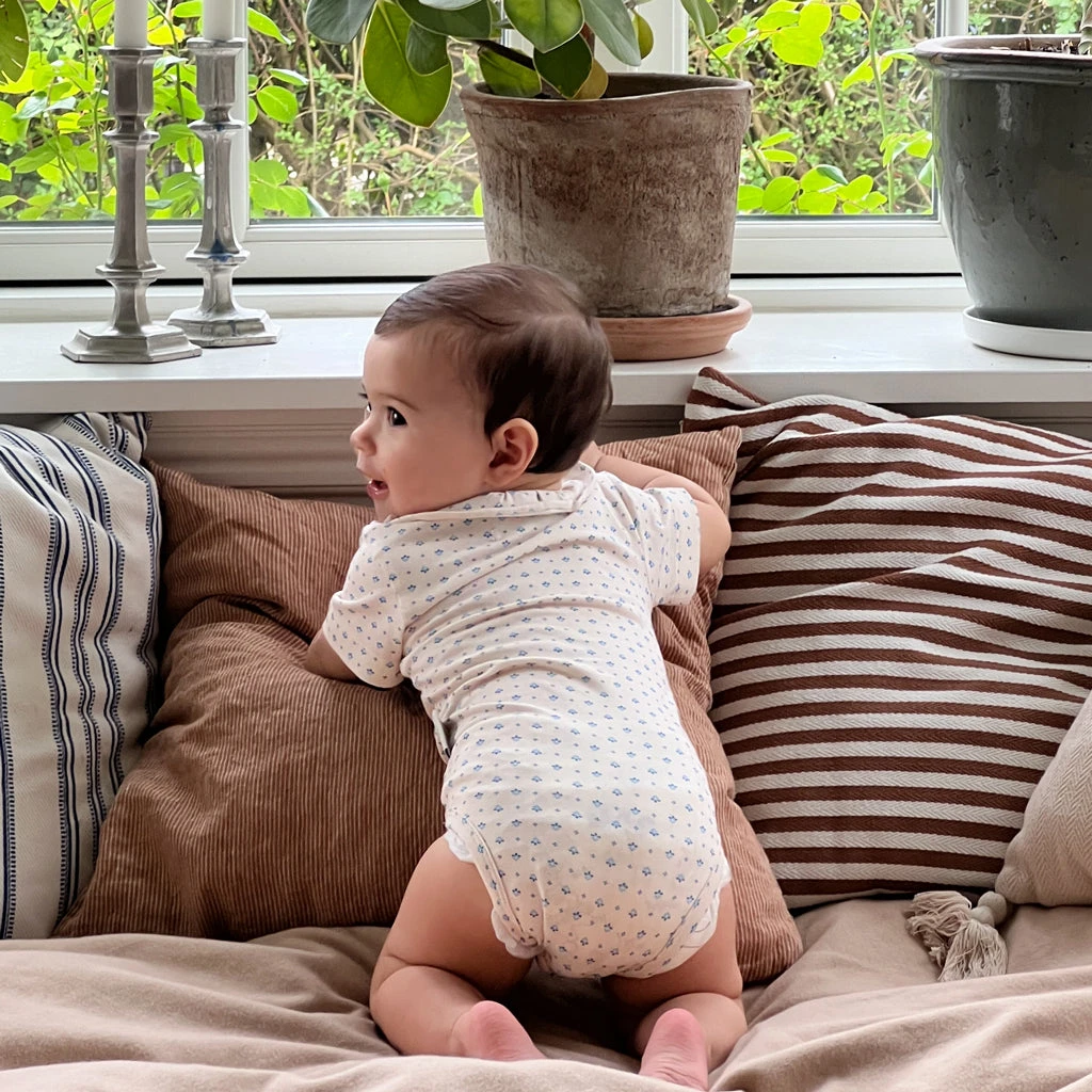 Short Sleeved Body Olivia - GOTS - Capri 2 Short Sleeved Body Olivia - GOTS - Capri - Image 2